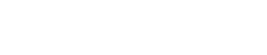 American Medical Academy logo