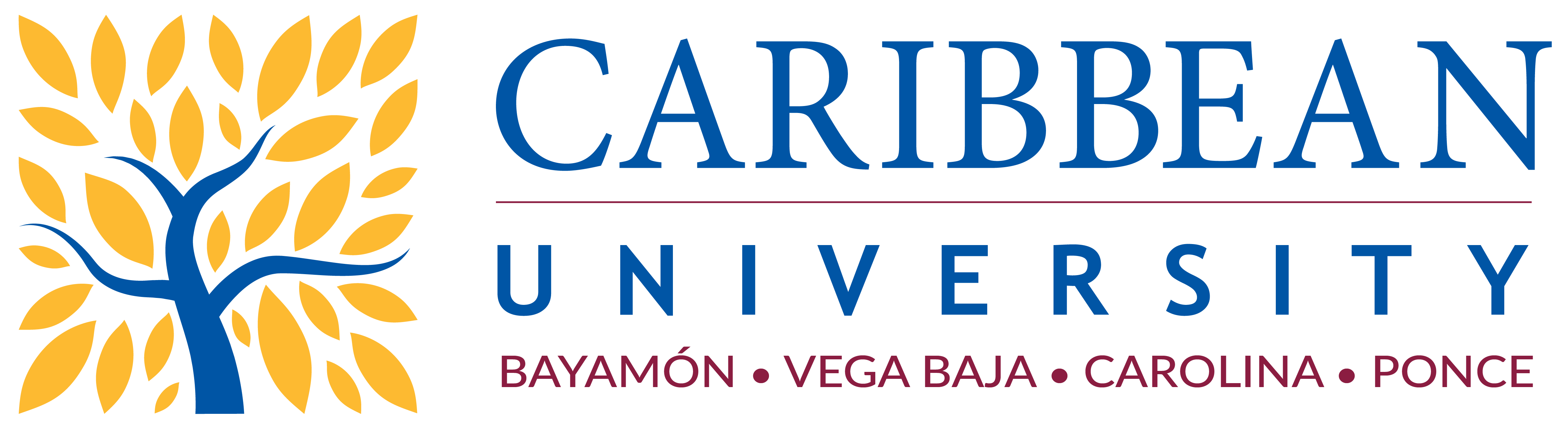 Caribbean University logo