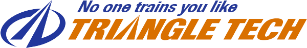 Triangle Tech, Pittsburgh logo