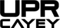 University of Puerto Rico at Cayey logo