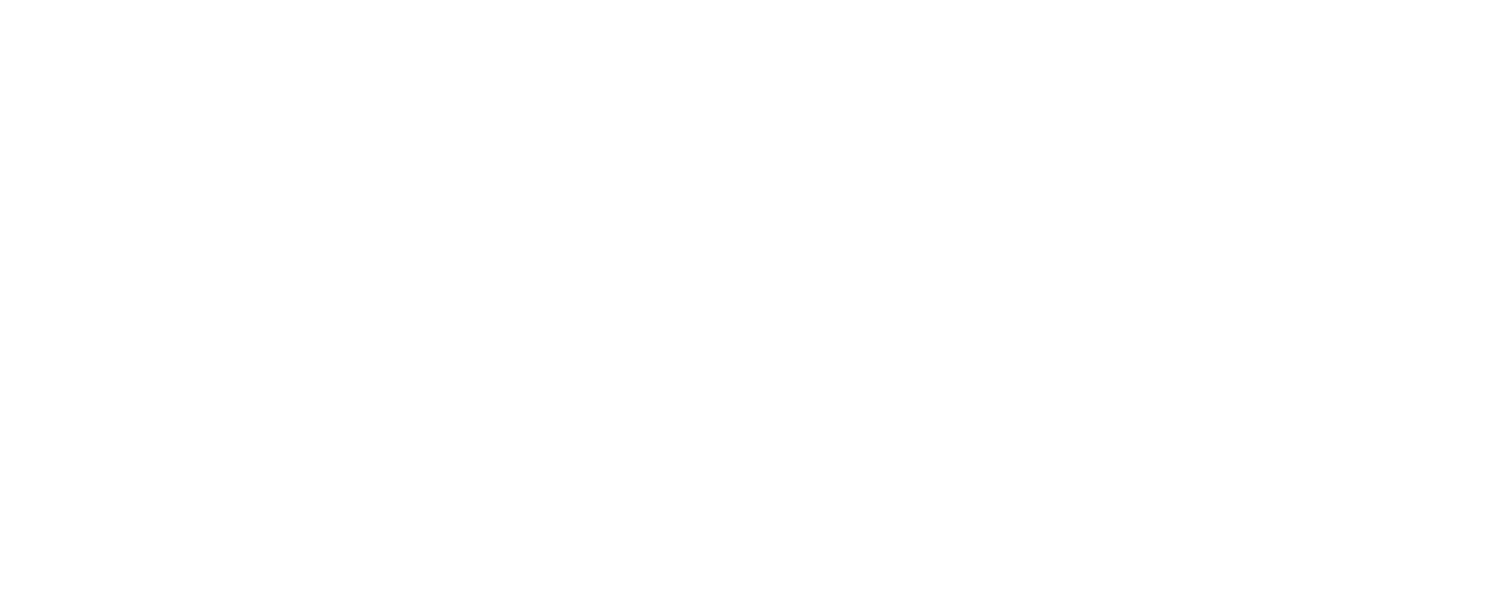 University of South Carolina Aiken logo